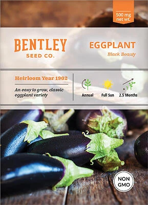 Eggplant-Black Beauty