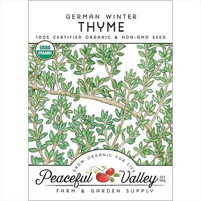 Thyme-German