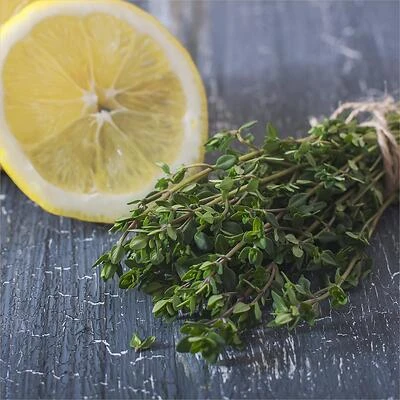 Thyme-Lemon