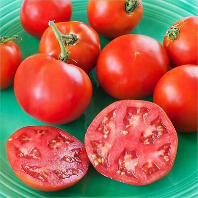 Bonnie Plants Original Tomato Sauce, 2.32 Quart Ready-to-Use Cooking Blend