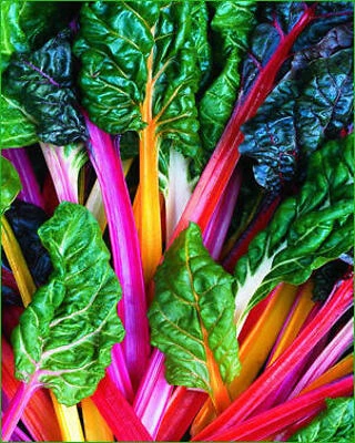 Bonnie Plants Swiss Chard, 1.19 Qt Container
