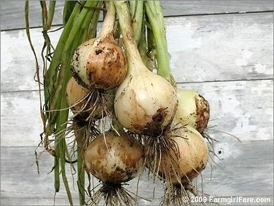 Super Sweet Onions – 1.82 lb Fresh Pack