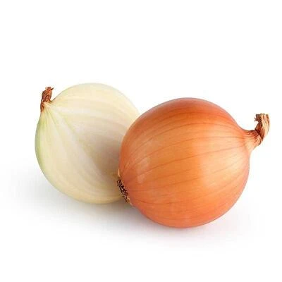 1.82‑lb Late White Onion Pack – Fresh Premium Onions