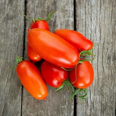 Tomato-Roma
