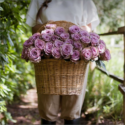 Spring-Roses 50740
