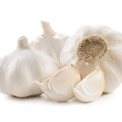 NS Plant Garlic 3‑9 – 3‑Pack Fresh Garlic Seedlings for Easy Garden Growing