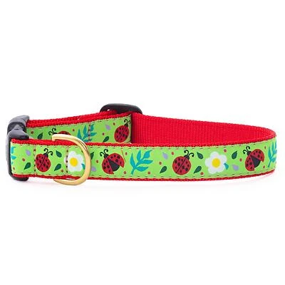 Ladybugs Collar SB LDYSB10