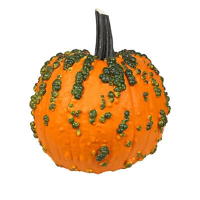 Warty Pumpkins