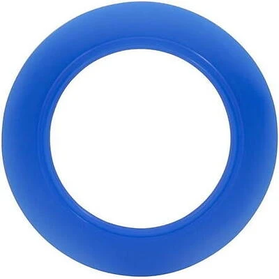 Waxman 7539900 Standard Champ Seal-Am Flush Valve