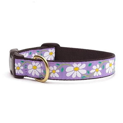 Up Country Daisy Pattern (Daisy Dog Collar  Medium (12 to 18 inches) 1 inch Wide Width)