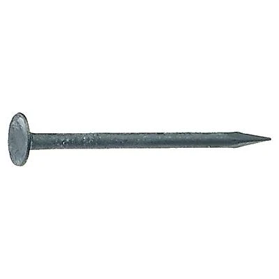 Grip-Rite 138PCDW1 Drywall Nails, 1-3/8 In., 12-1/2 Gauge, 1 Lb.