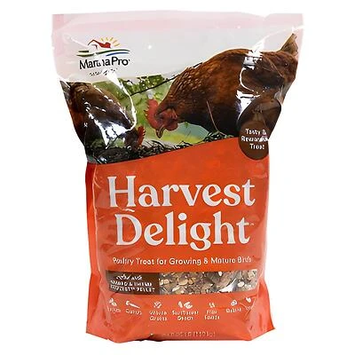 Manna Pro 1000204 Harvest Delight Poultry Treat, 2.5 Lb.