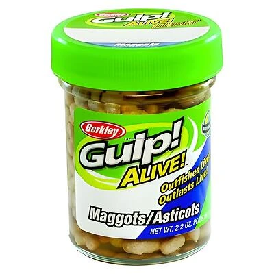 Berkley 4475-1311 Gulp Alive Maggots Soft Fishing Bait, White, 2.2 oz.
