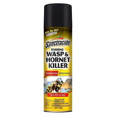 Spectracide HG-67404 Foaming Wasp and Hornet Killer Spray, 14 Oz
