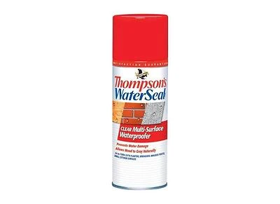 Thompson's WaterSeal TH.010100-18 Multi-Surface Waterproofer, Clear, 12 oz. Aerosol